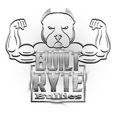 Built Ryte Bullies Built Ryte Bullies